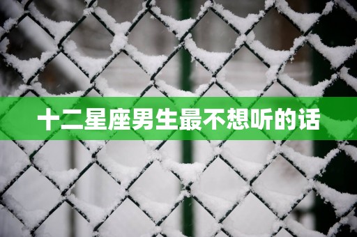 十二星座男生最不想听的话