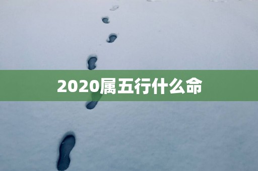 2025属五行什么命