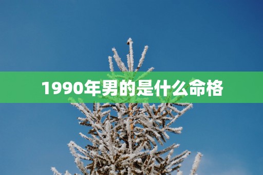 1990年男的是什么命格
