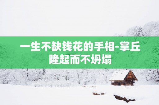 一生不缺钱花的手相-掌丘隆起而不坍塌