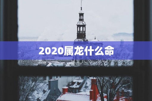 2025属龙什么命