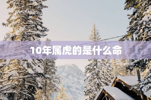 10年属虎的是什么命