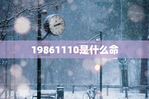19861110是什么命