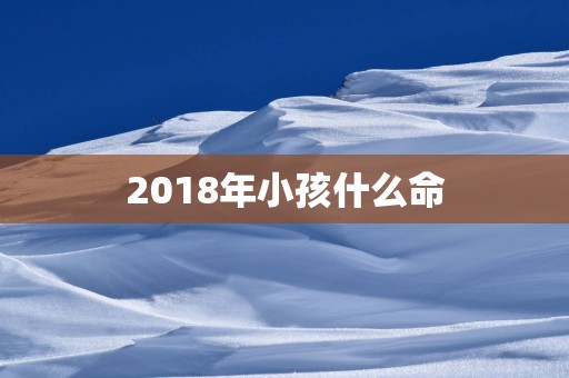 2018年小孩什么命