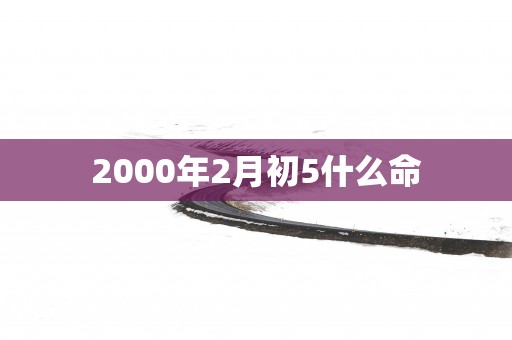 2000年2月初5什么命
