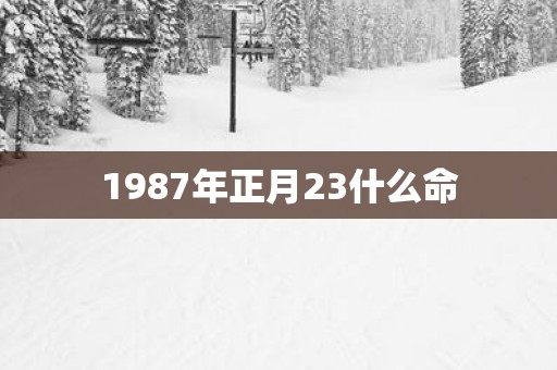 1987年正月23什么命