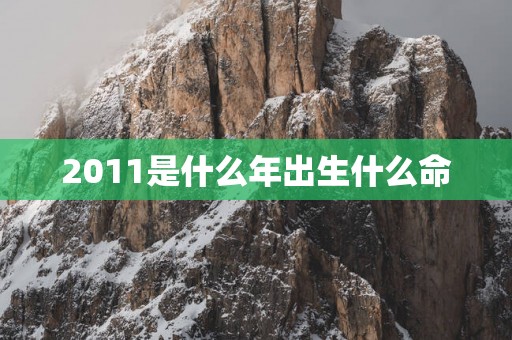 2011是什么年出生什么命