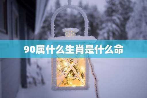 90属什么生肖是什么命