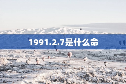 1991.2.7是什么命