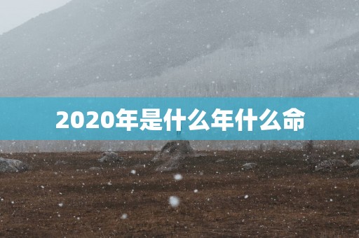 2025年是什么年什么命