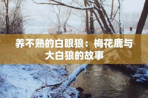 养不熟的白眼狼：梅花鹿与大白狼的故事