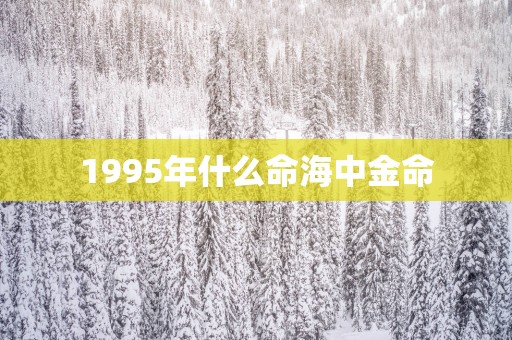 1995年什么命海中金命