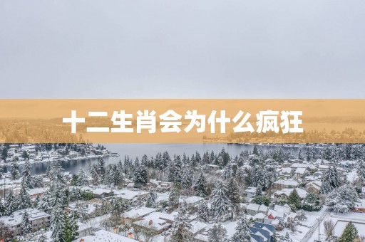 十二生肖会为什么疯狂