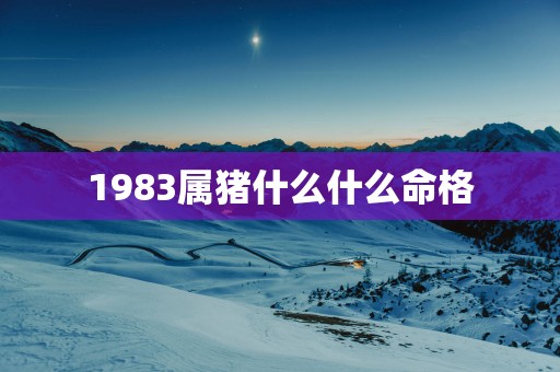 1983属猪什么什么命格