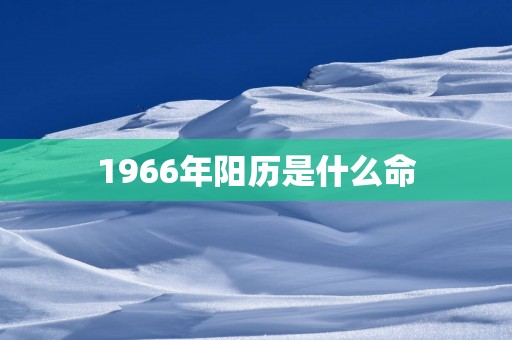 1966年阳历是什么命