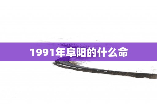 1991年阜阳的什么命