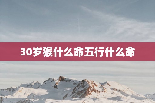 30岁猴什么命五行什么命