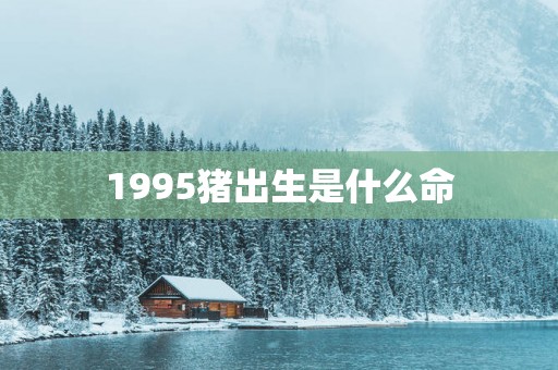 1995猪出生是什么命