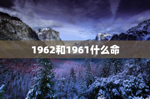 1962和1961什么命