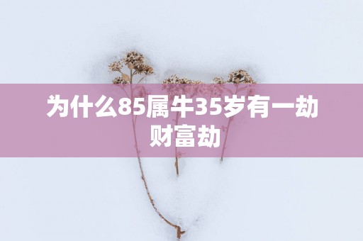 为什么85属牛35岁有一劫 财富劫