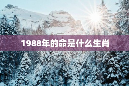1988年的命是什么生肖