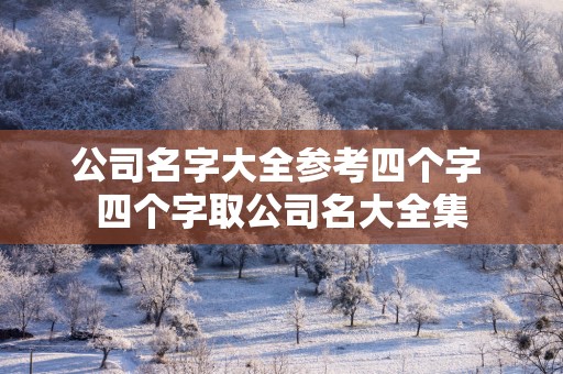 公司名字大全参考四个字 四个字取公司名大全集