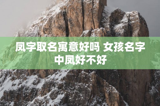 凤字取名寓意好吗 女孩名字中凤好不好