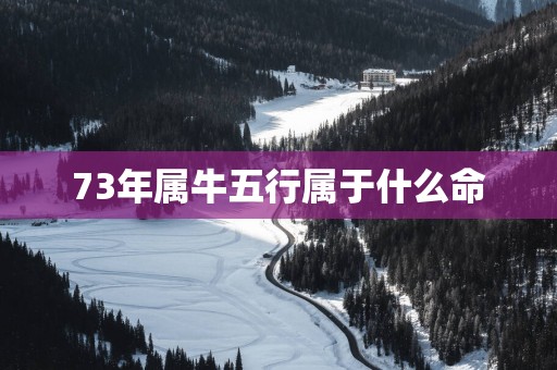 73年属牛五行属于什么命