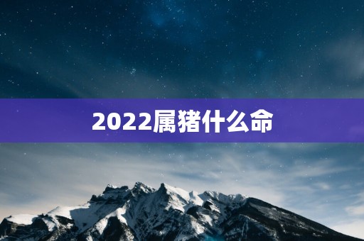 2025属猪什么命