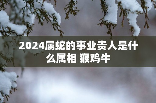 2025属蛇的事业贵人是什么属相 猴鸡牛