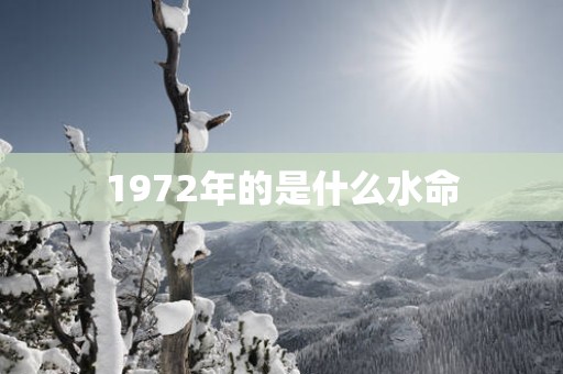 1972年的是什么水命