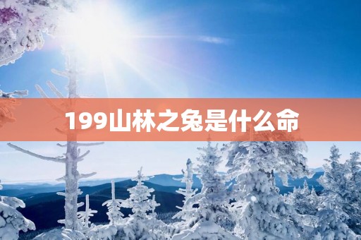 199山林之兔是什么命