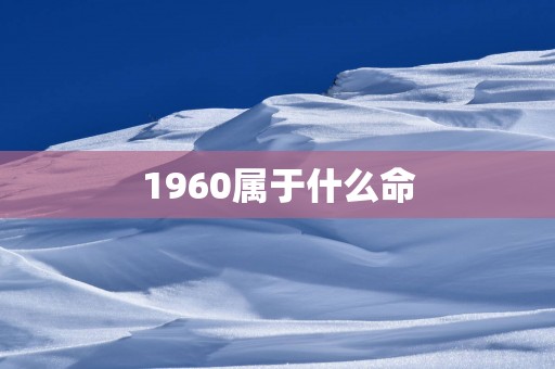 1960属于什么命