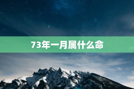 73年一月属什么命