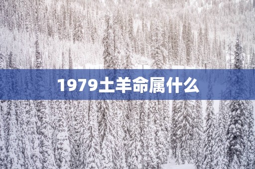 1979土羊命属什么