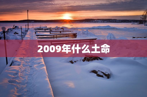 2009年什么土命