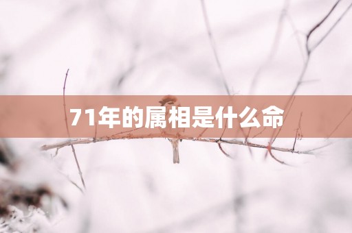 71年的属相是什么命
