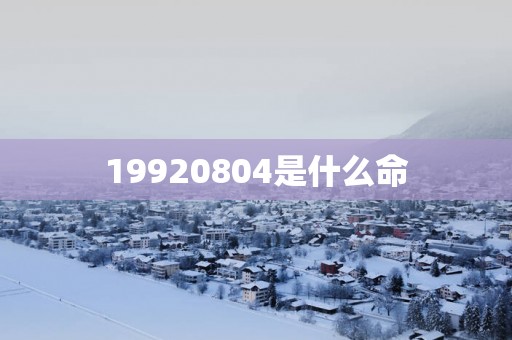 19920804是什么命