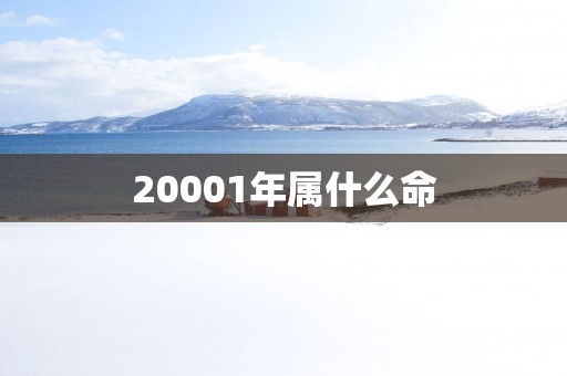 20001年属什么命