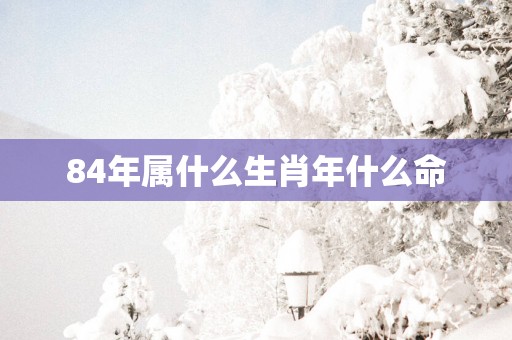 84年属什么生肖年什么命
