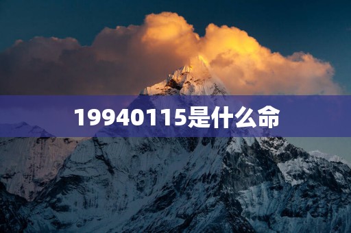 19940115是什么命