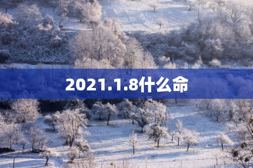 2025.1.8什么命