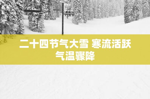 二十四节气大雪 寒流活跃气温骤降