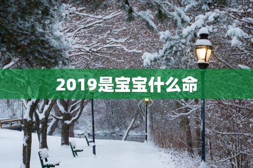 2019是宝宝什么命