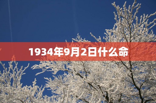 1934年9月2日什么命