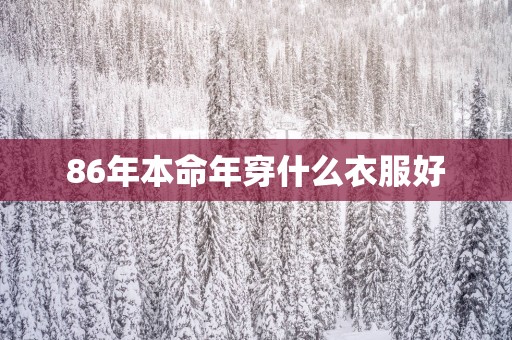 86年本命年穿什么衣服好