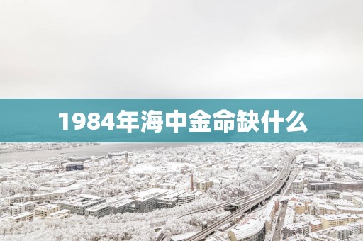 1984年海中金命缺什么