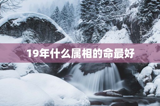19年什么属相的命最好