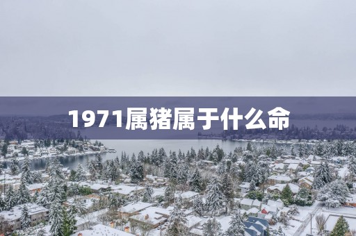1971属猪属于什么命