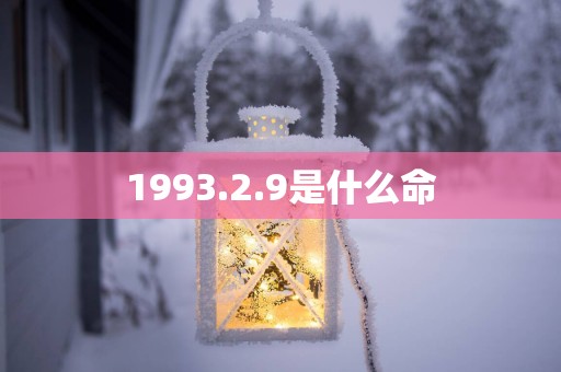 1993.2.9是什么命